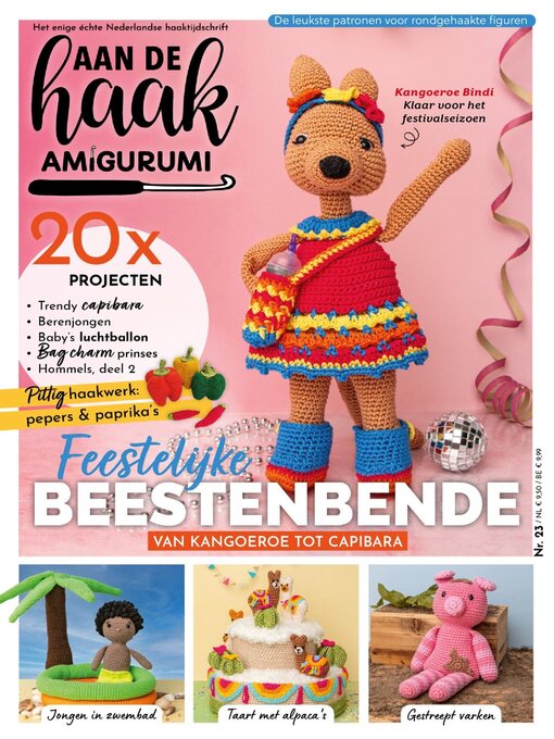 Cover image for Aan de Haak